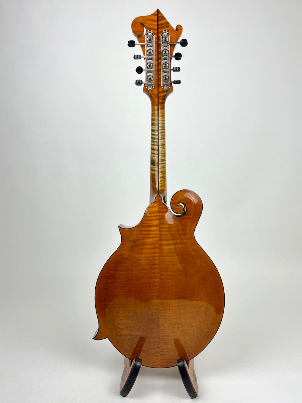 Northfield Big Mon - Engelmann/Amber