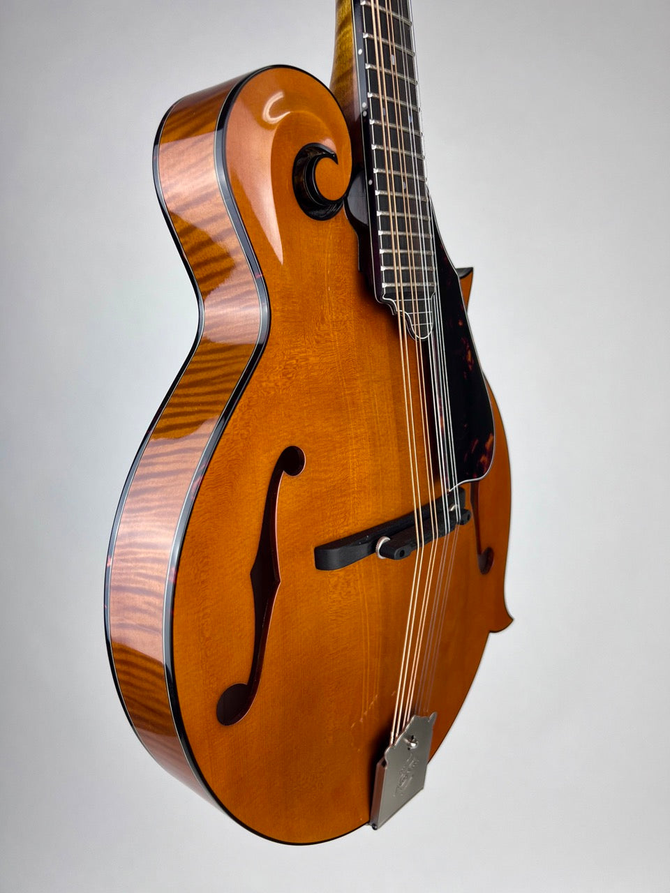 Northfield Big Mon - Engelmann/Amber