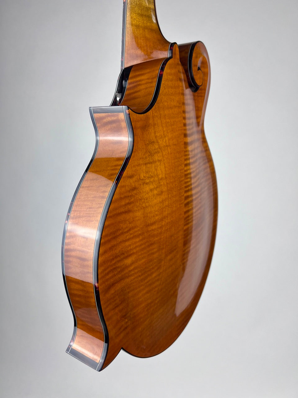 Northfield Big Mon - Engelmann/Amber