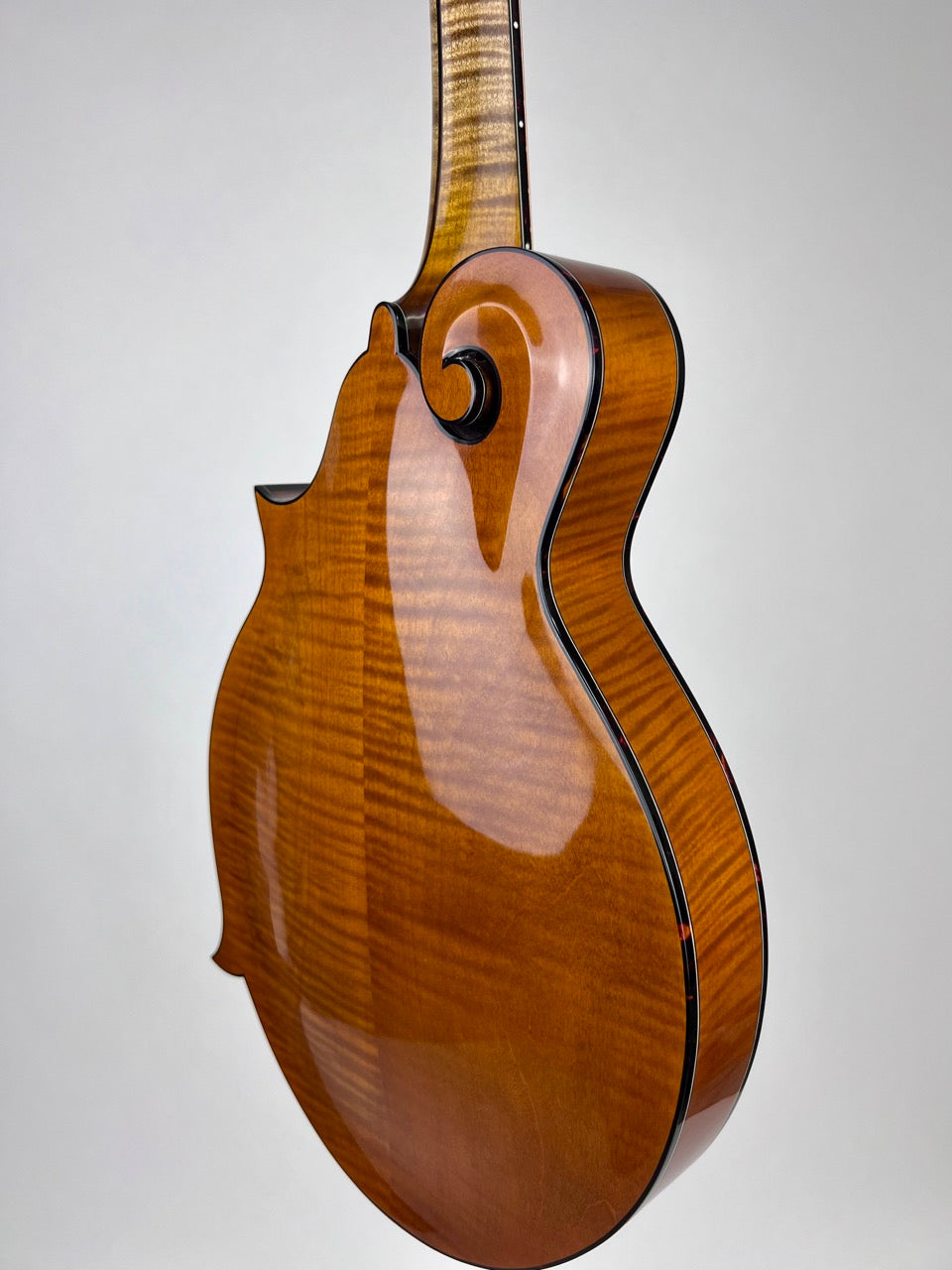 Northfield Big Mon - Engelmann/Amber
