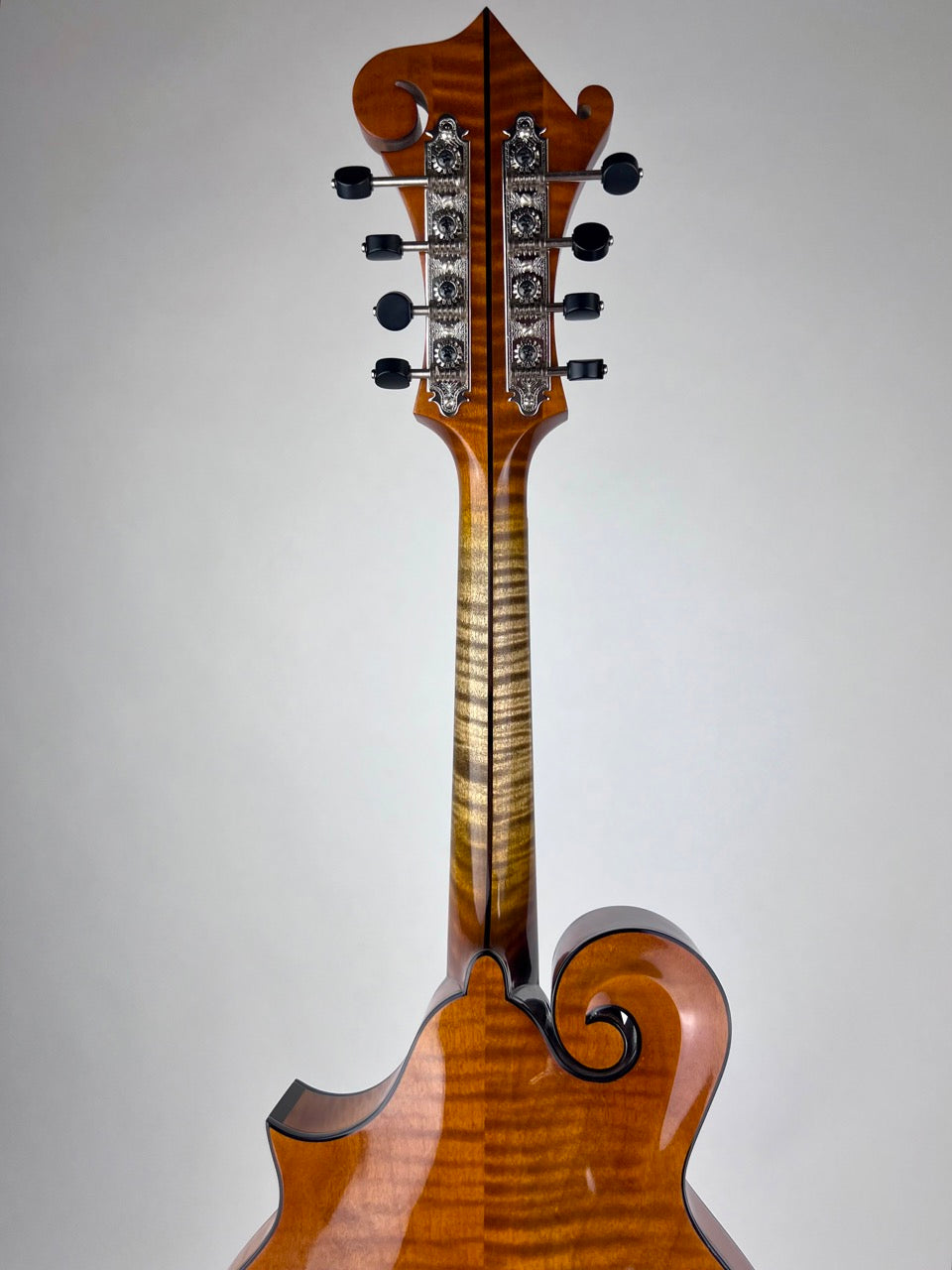 Northfield Big Mon - Engelmann/Amber