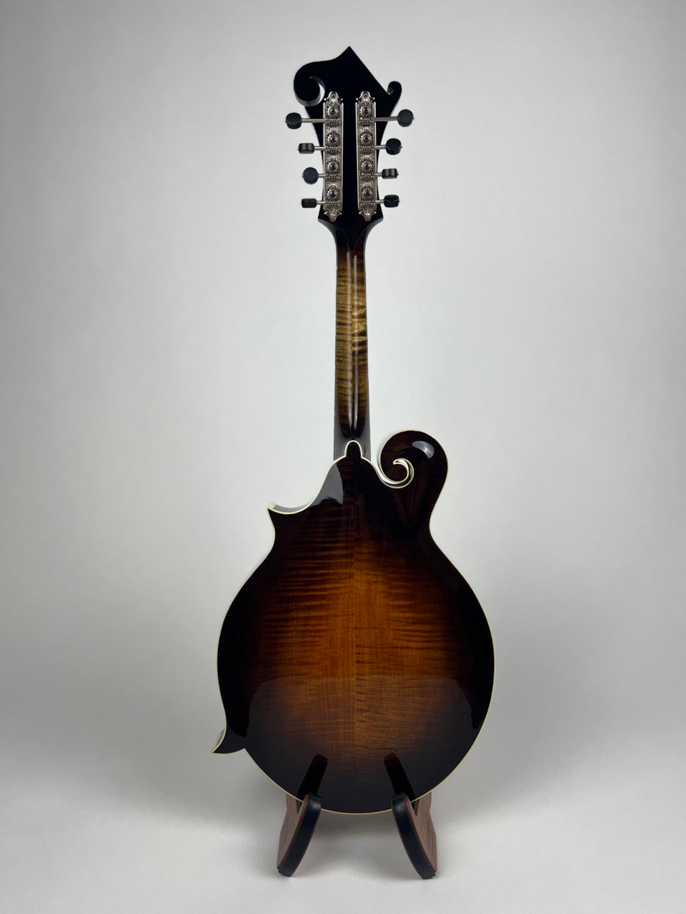 Northfield Big Mon Sunburst/Engelmann