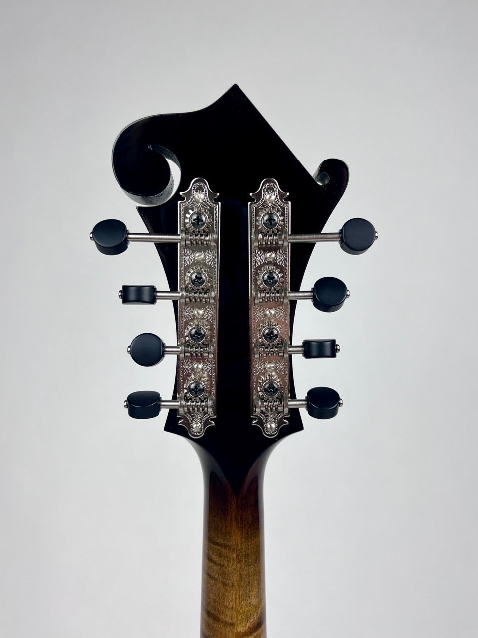 Northfield Big Mon Sunburst/Engelmann