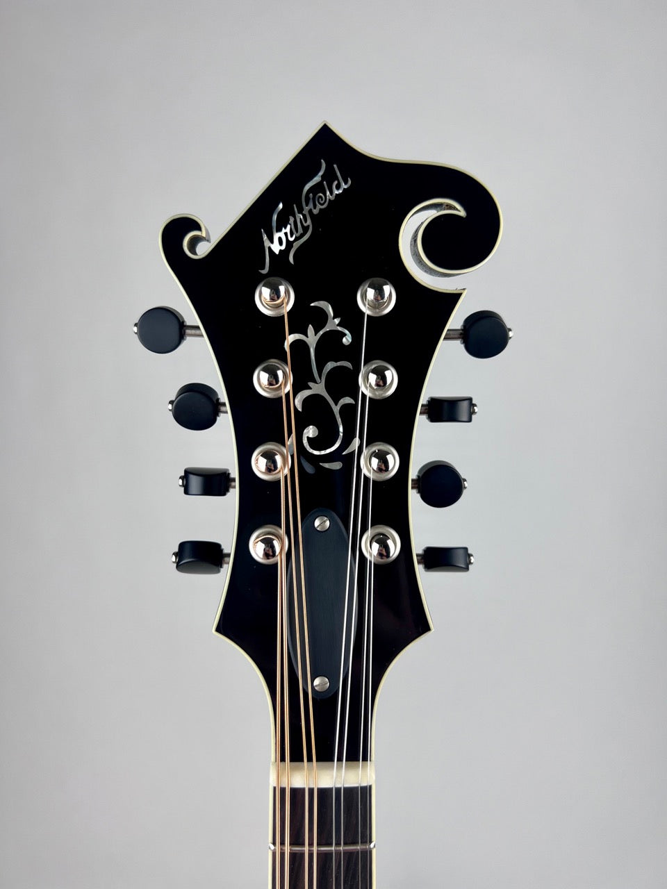 Northfield Big Mon Sunburst/Engelmann