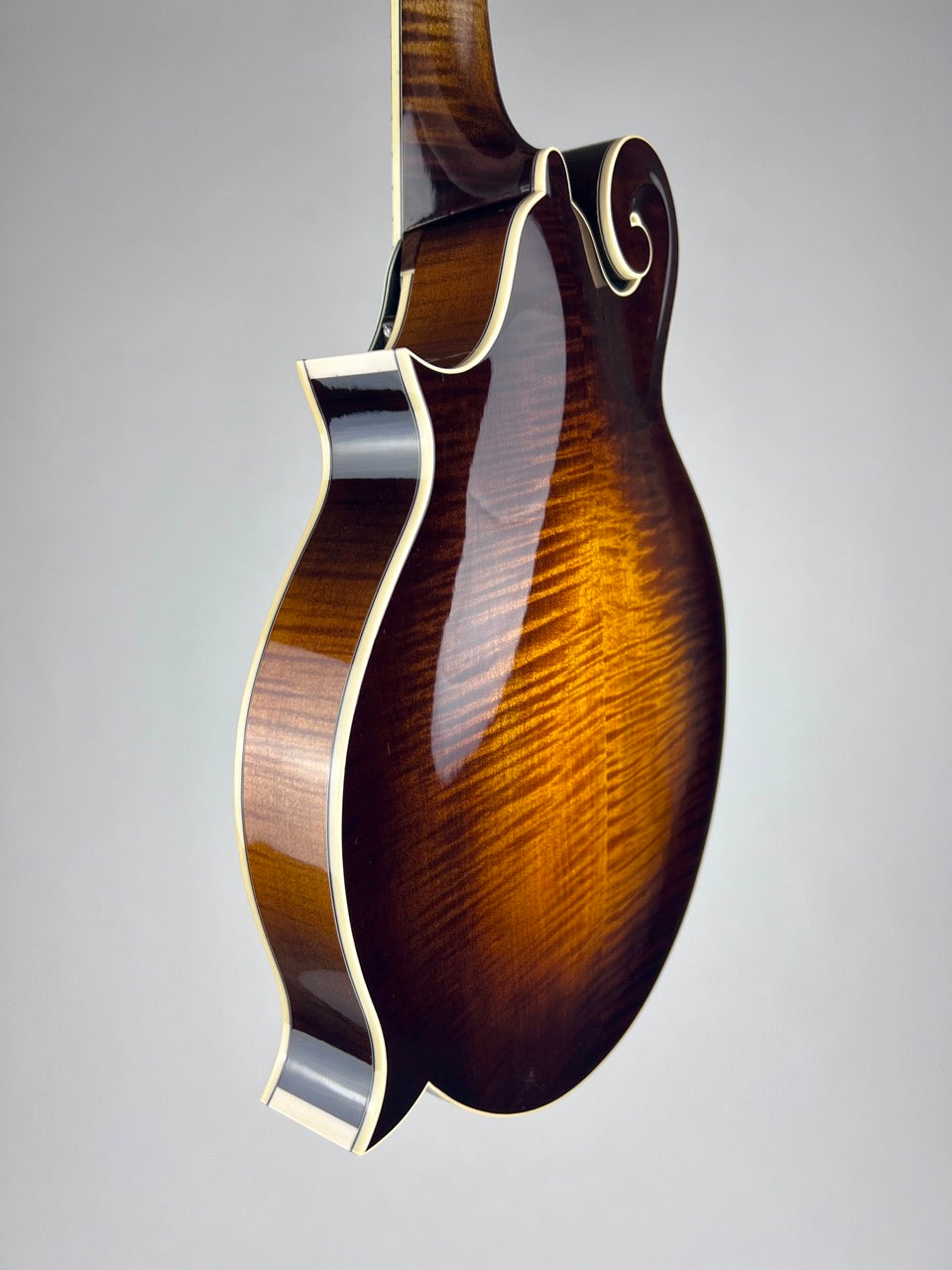 Northfield Big Mon Sunburst/Engelmann