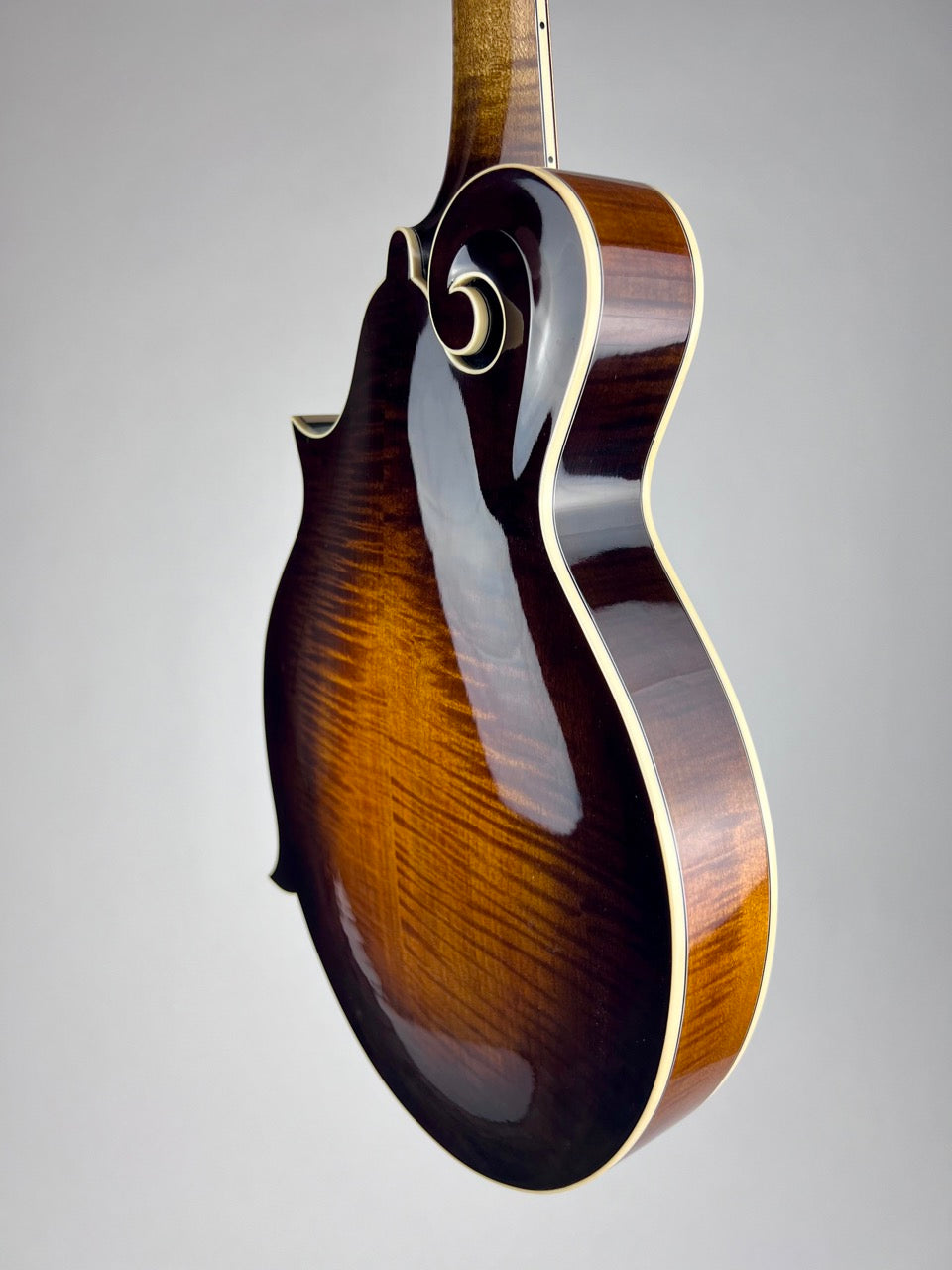 Northfield Big Mon Sunburst/Engelmann