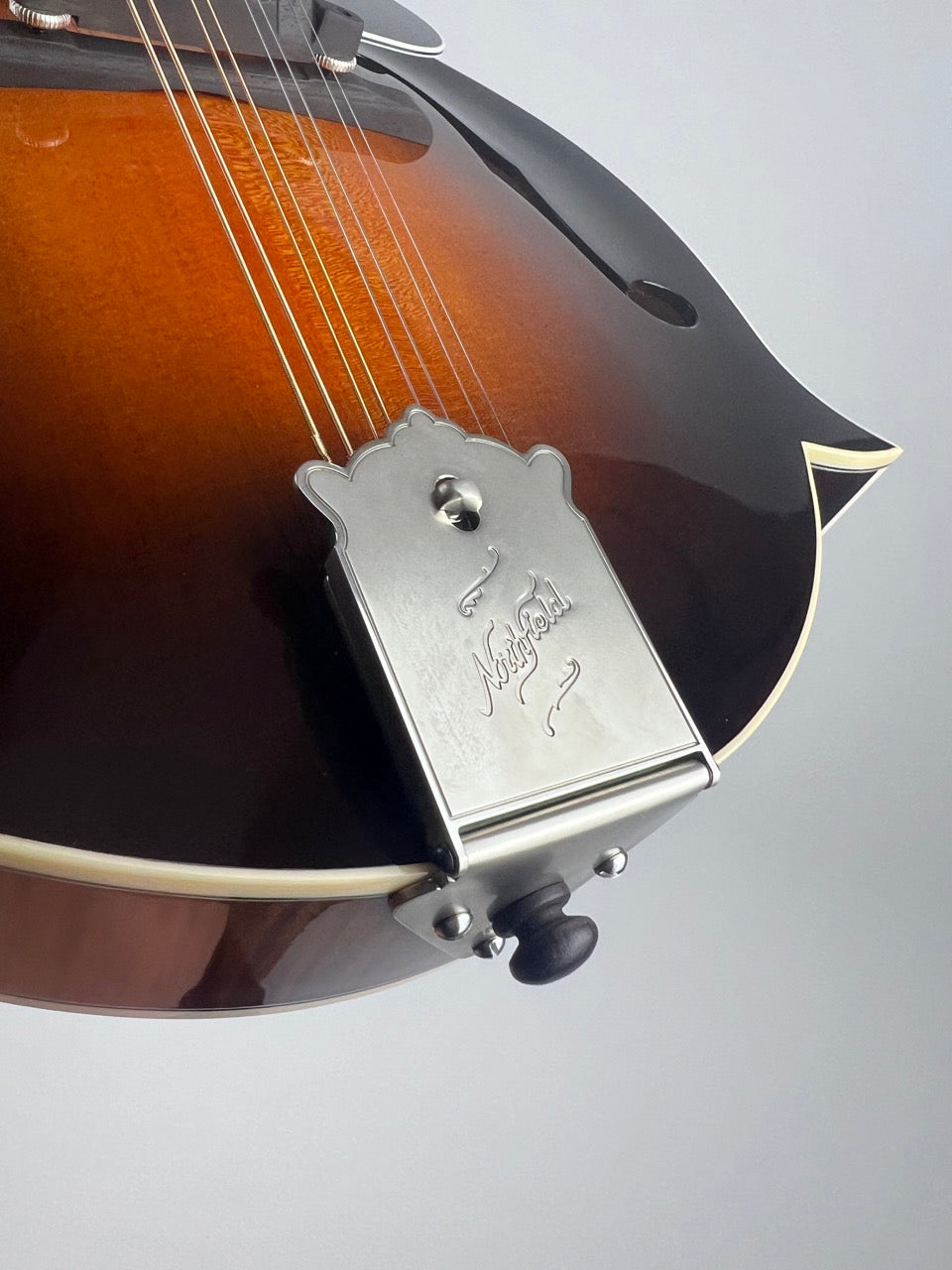 Northfield Big Mon Sunburst/Engelmann