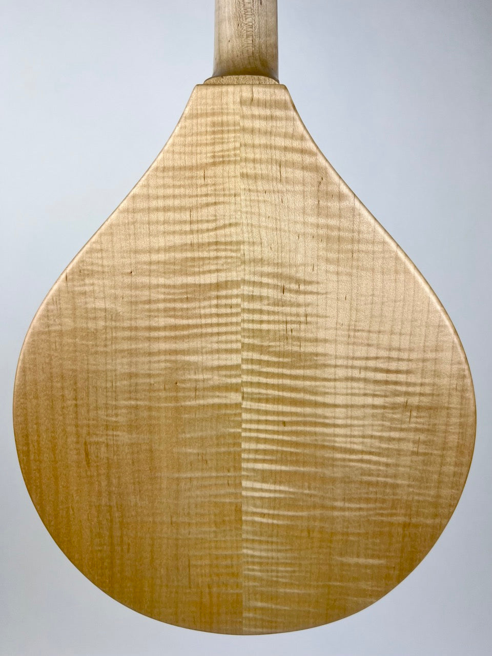 Northfield Calhoun Mandolin