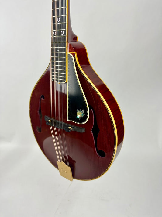 2020 Pava A5 Pro Custom "Cowgirl"