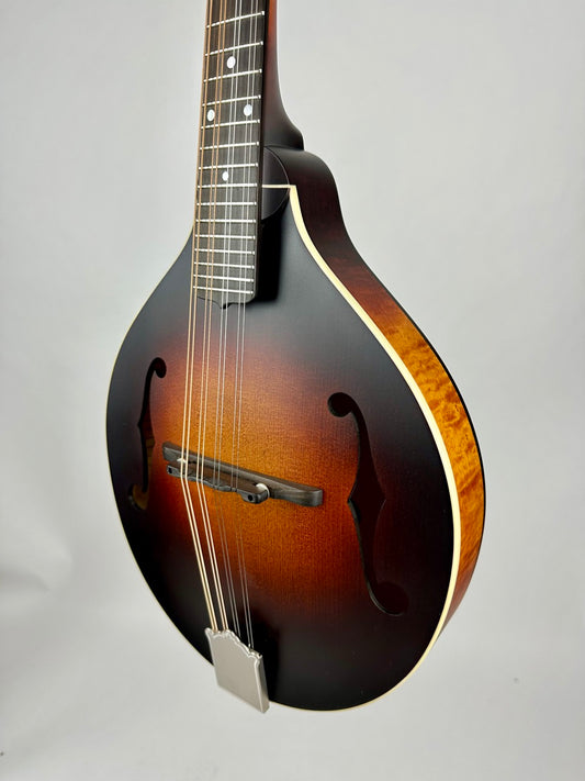 Pava A5 Satin - Wide Nut w/upgrades