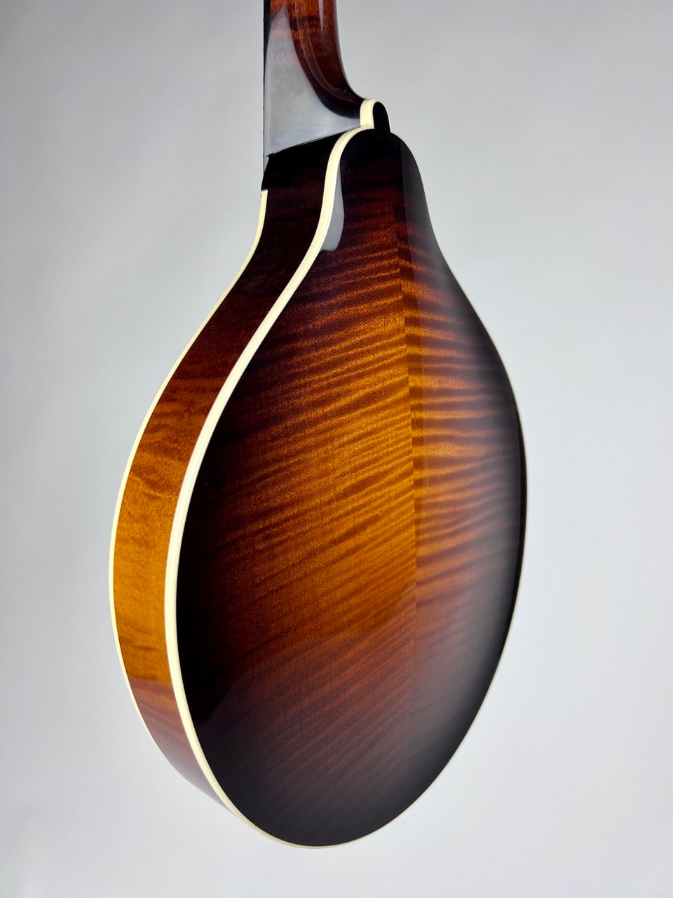 Pava Player A5 Sunburst