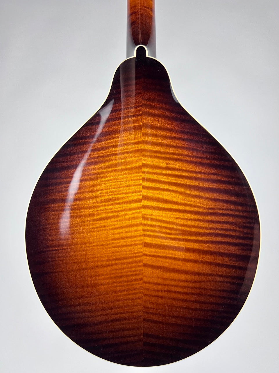 Pava Player A5 Sunburst