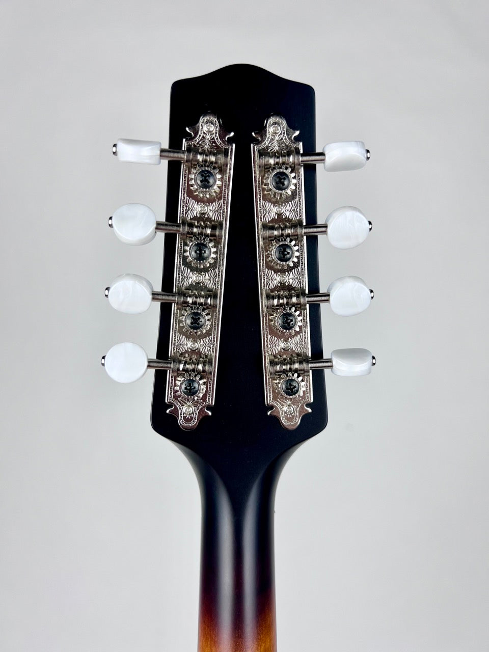 Pava Satin A4 Mandolin