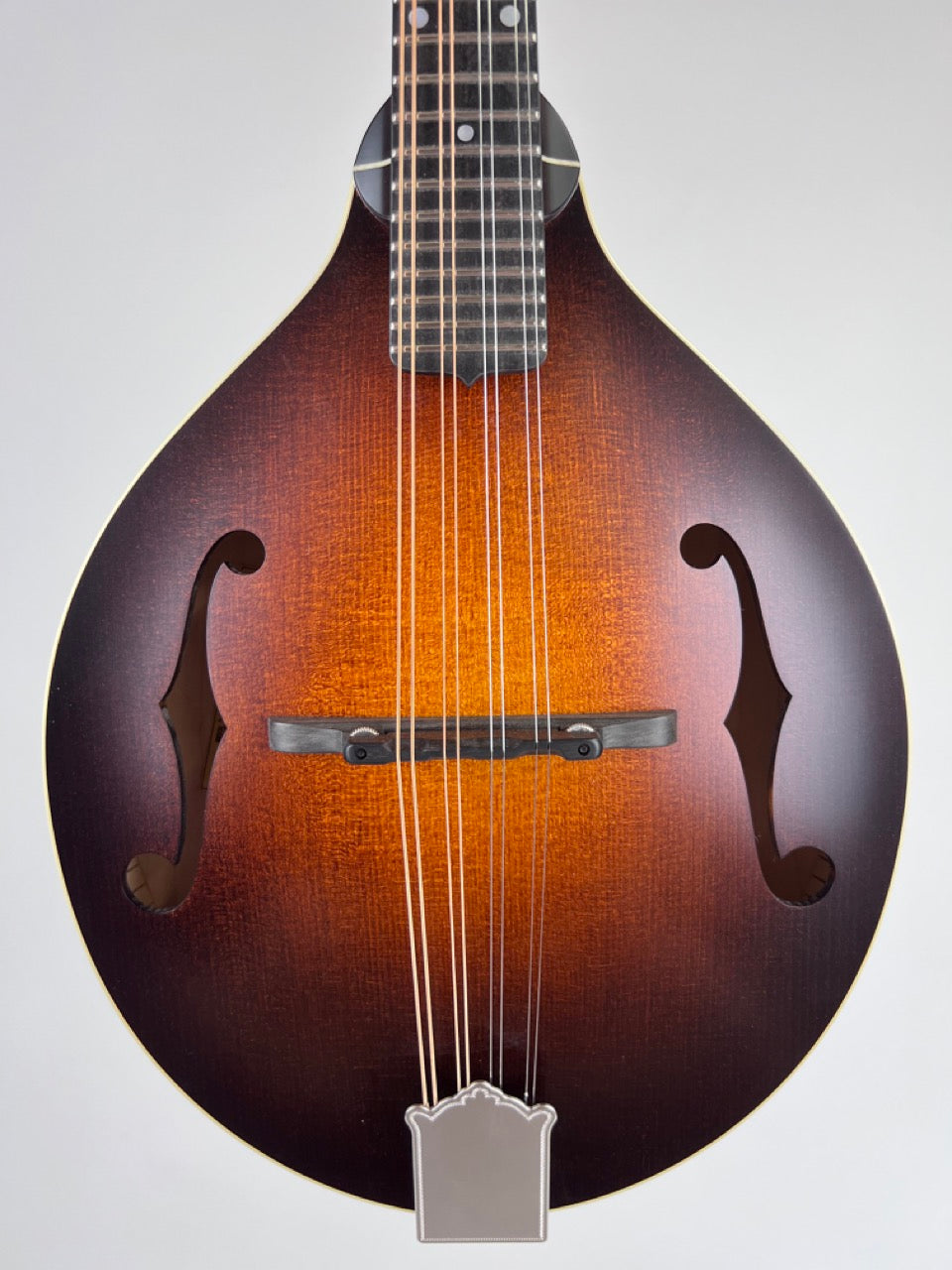 Pava Satin A5 Mandolin