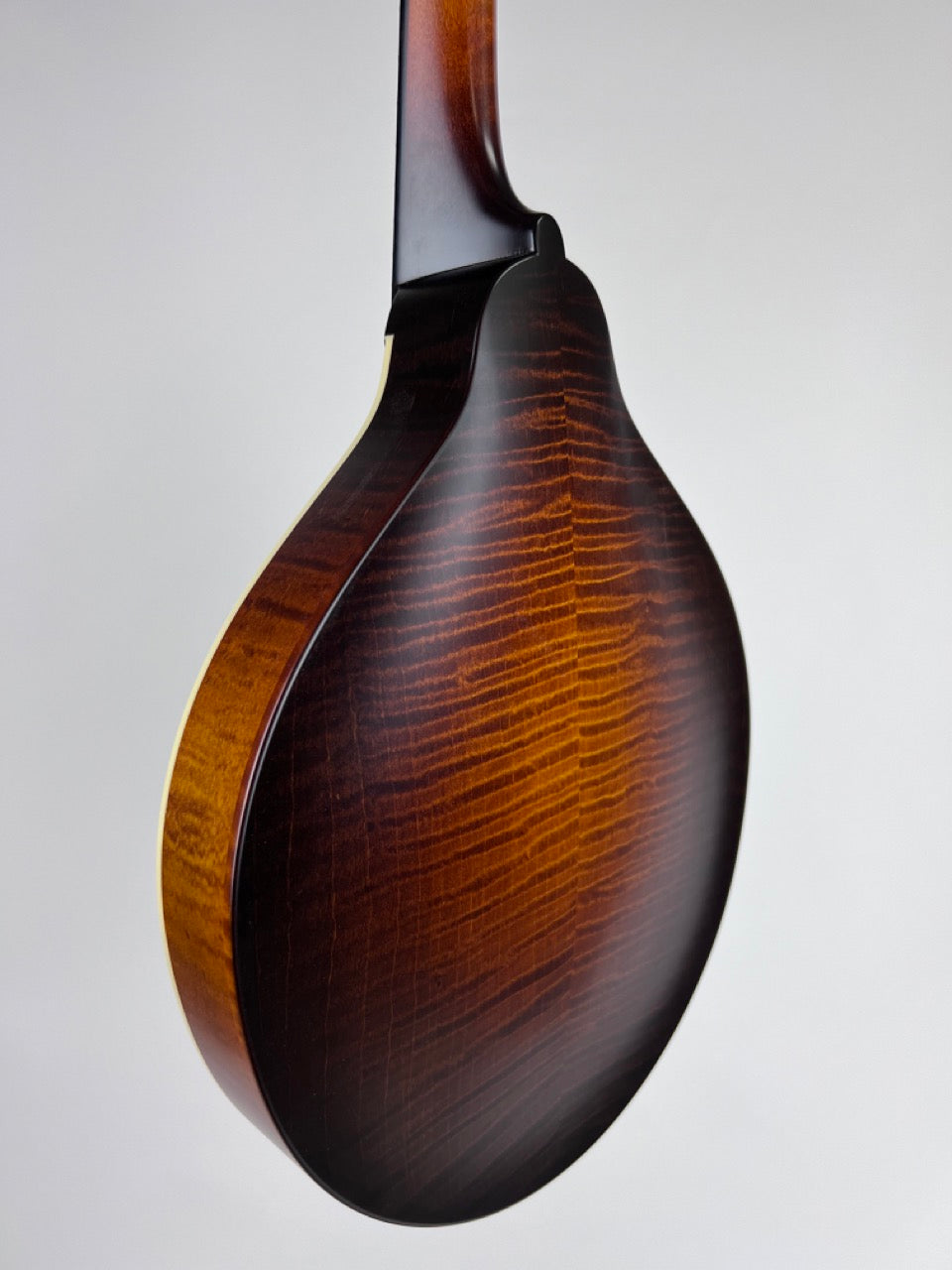 Pava Satin A5 Mandolin
