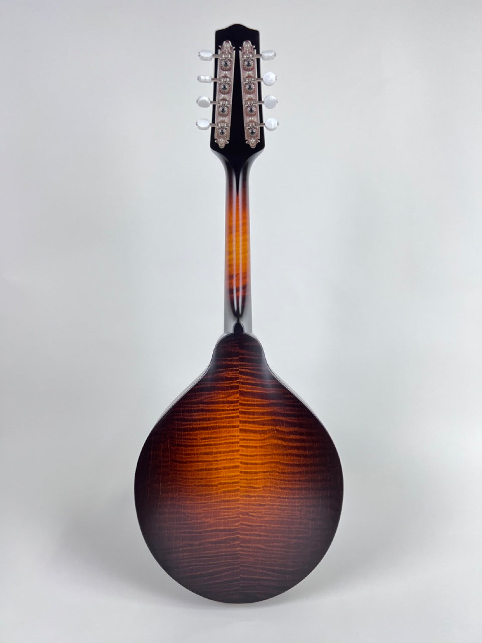 Pava Satin A5 Mandolin