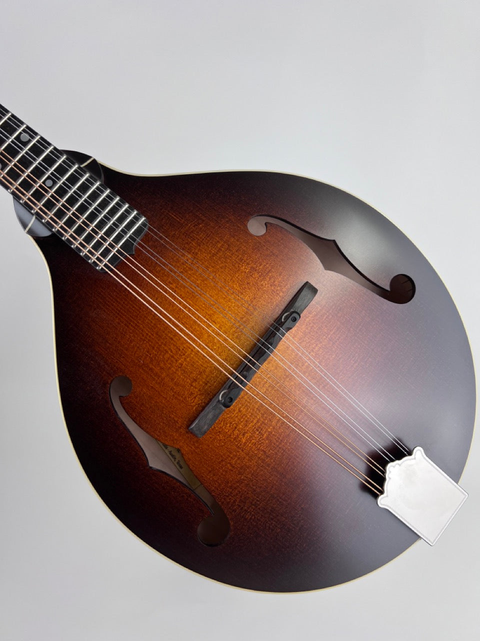 Pava Satin A5 Mandolin