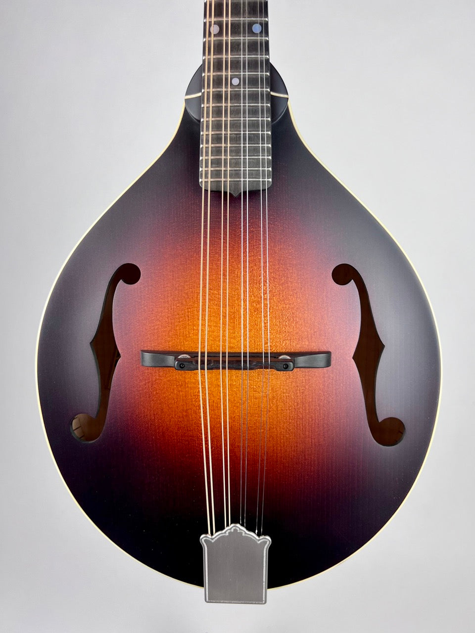 Pava Satin F5 Mandolin