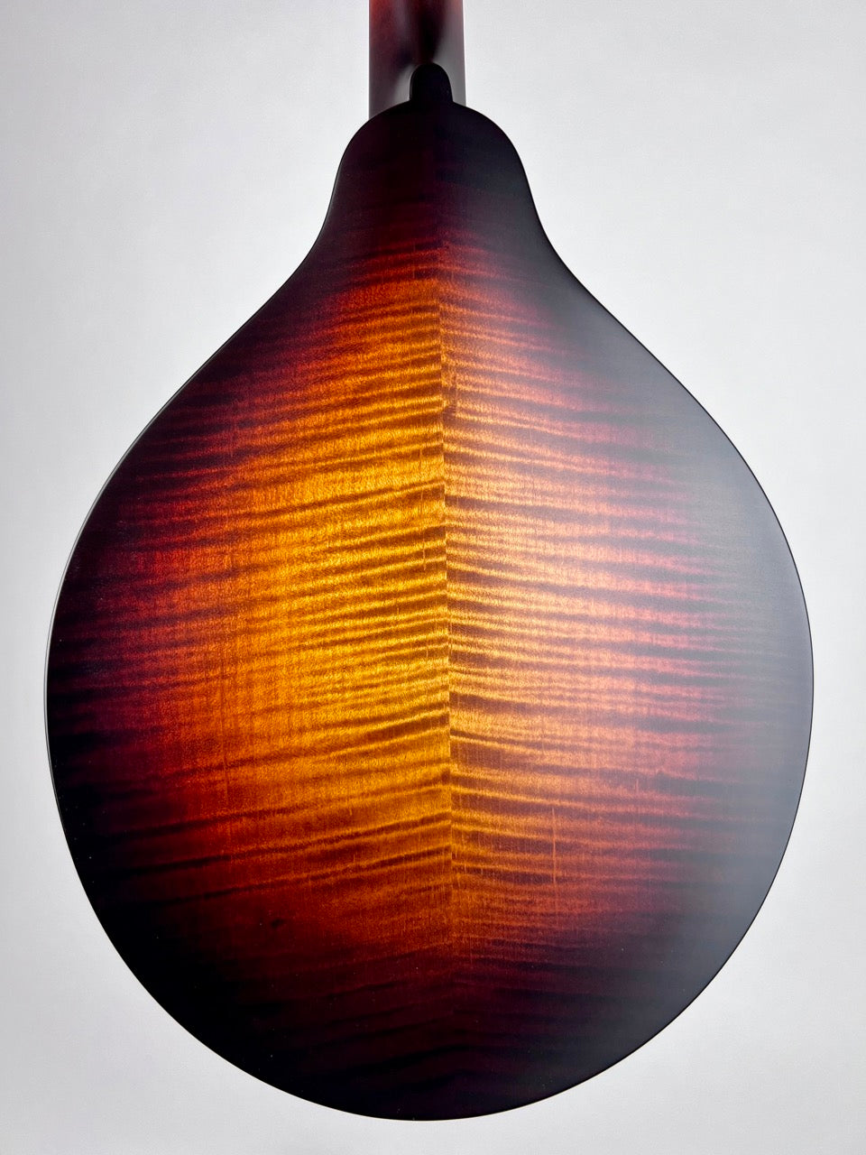 Pava Satin F5 Mandolin