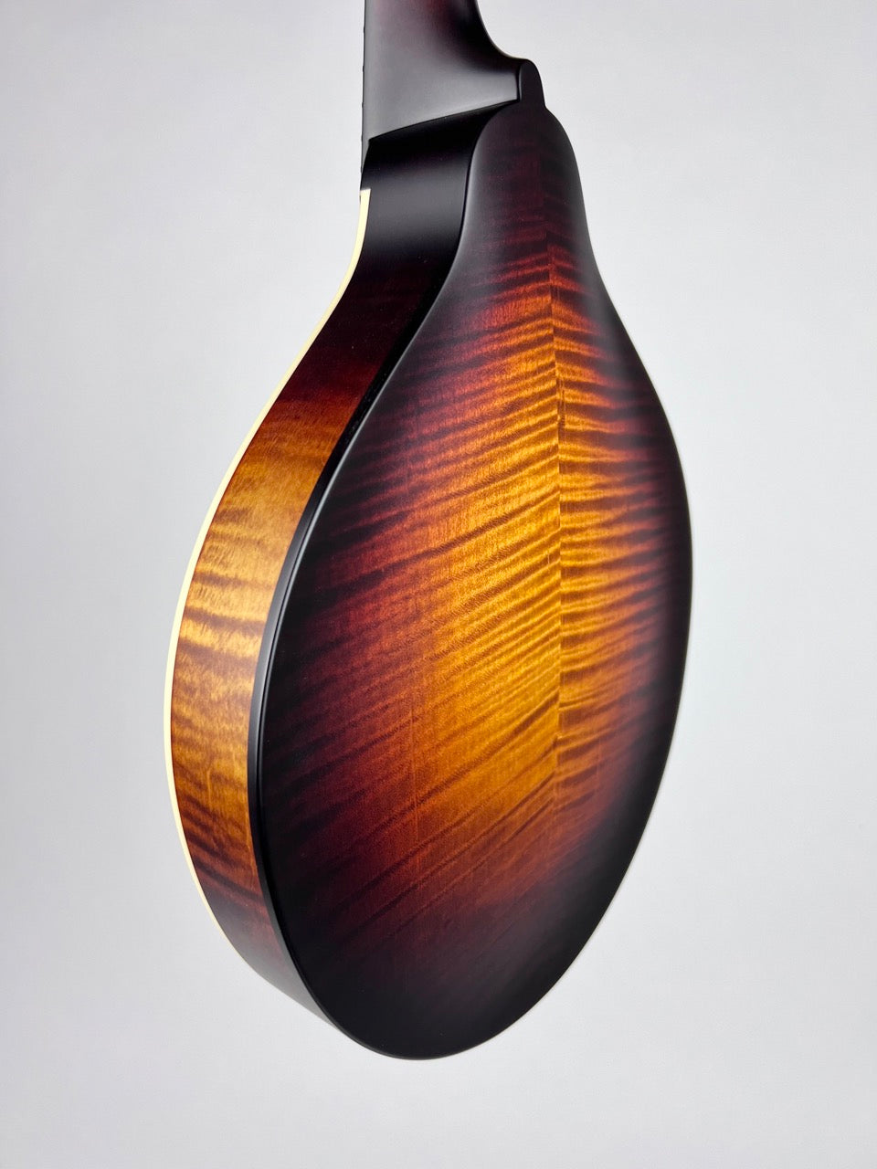 Pava Satin F5 Mandolin