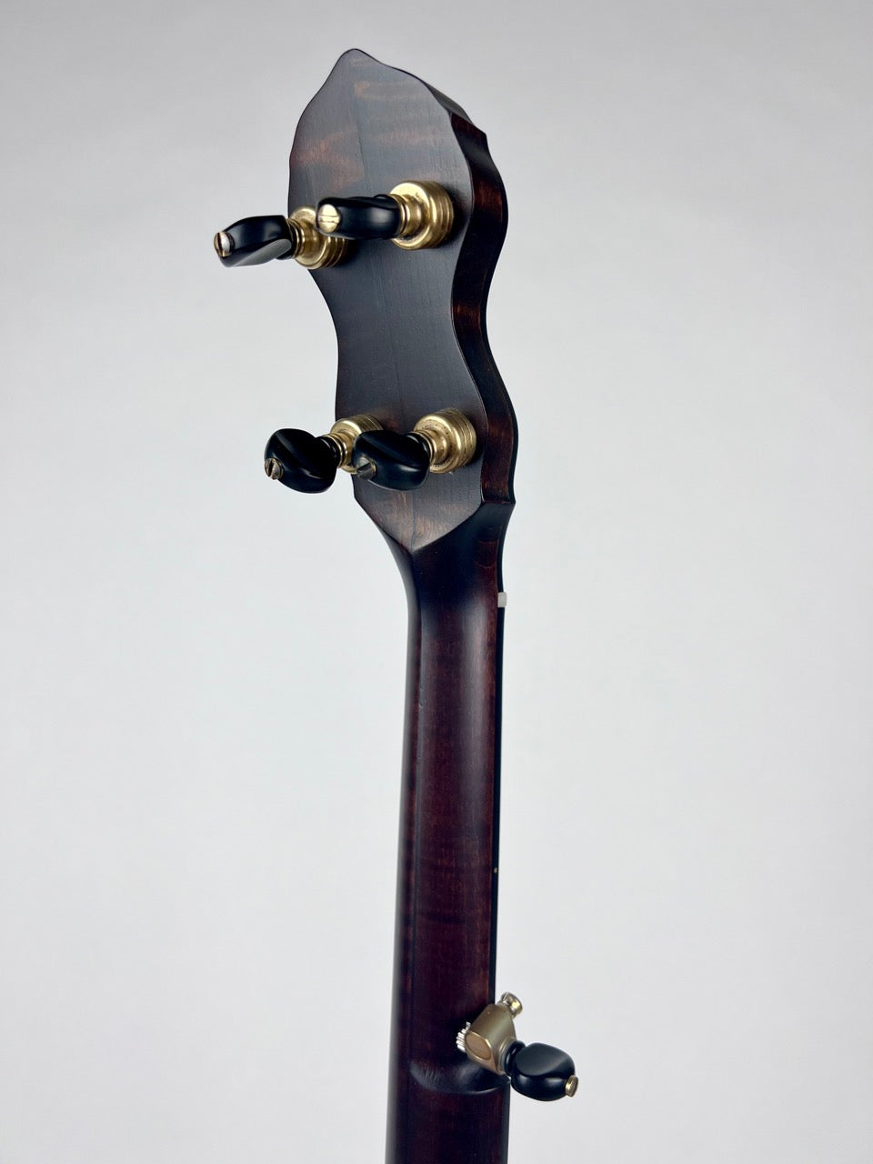Pisgah Maple Wonder 11" Banjo