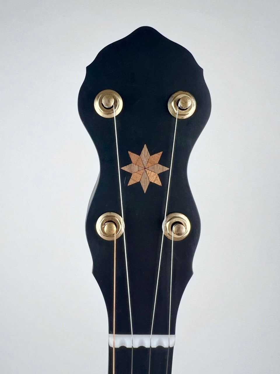 Pisgah Maple Wonder 11" Banjo