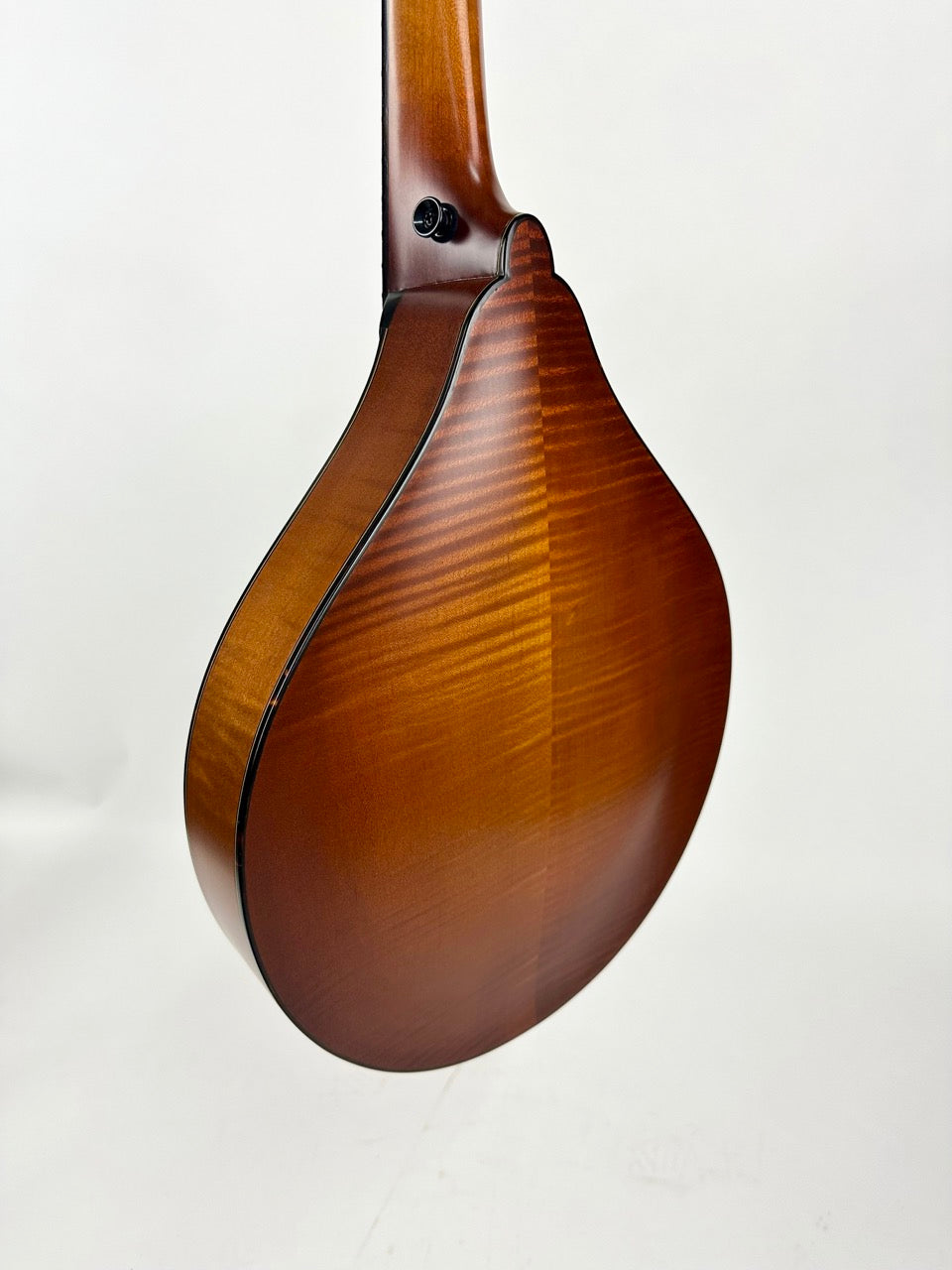 2025 Northfield Quickstep Mandola