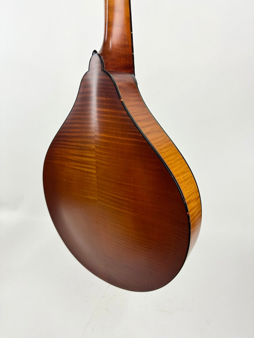 2025 Northfield Quickstep Mandola