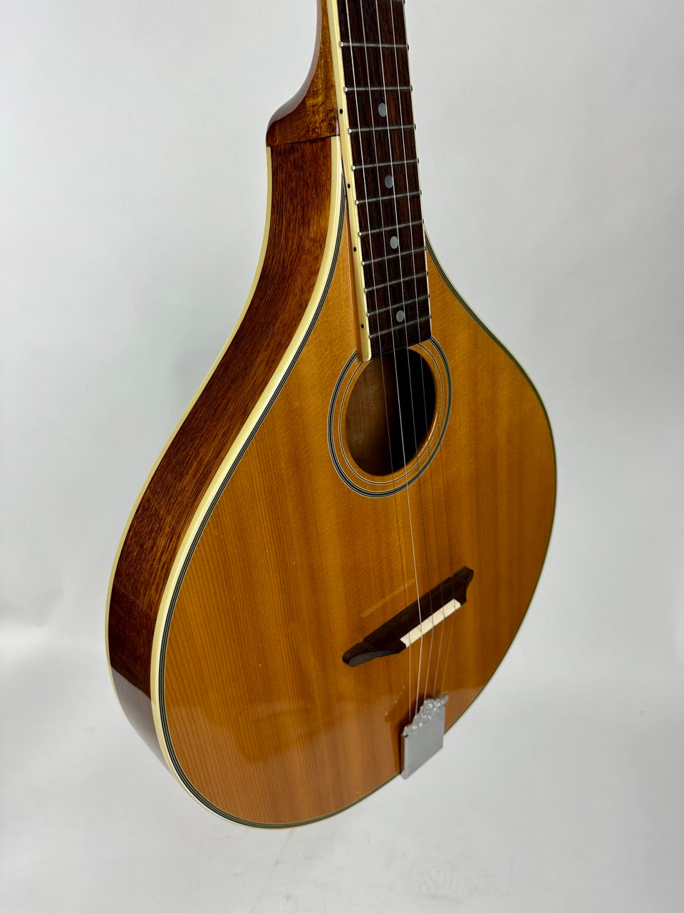 USED Gold Tone Banjola