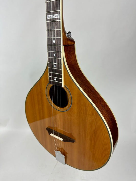 USED Gold Tone Banjola