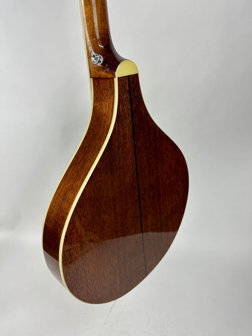 USED Gold Tone Banjola