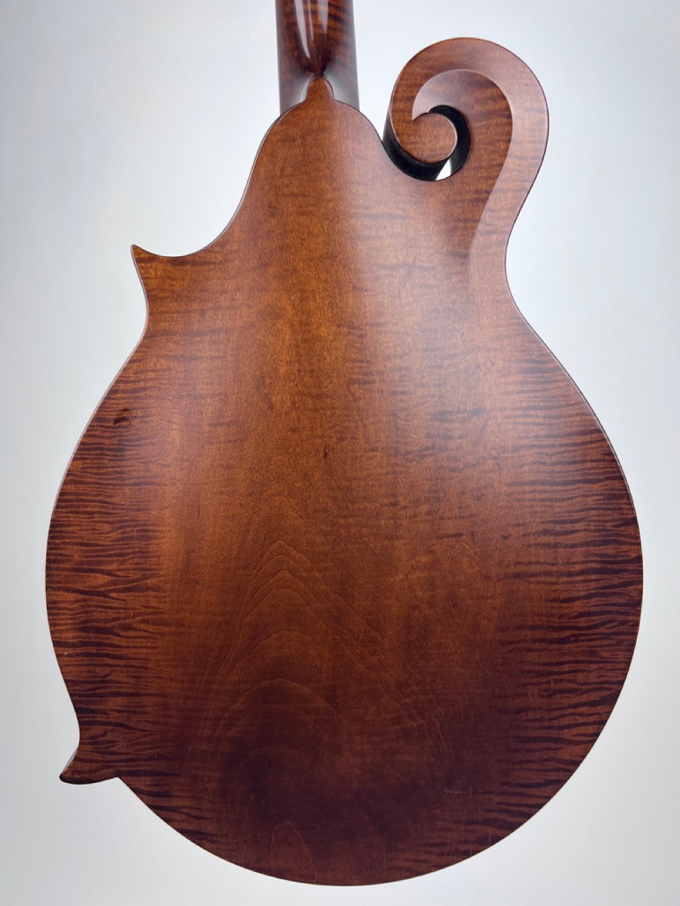 2017 Pava F5 Satin Mandolin F Style