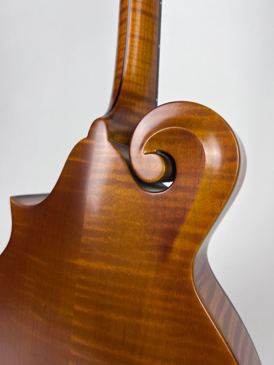 Northfield F5S Amber Tortoise Mandolin