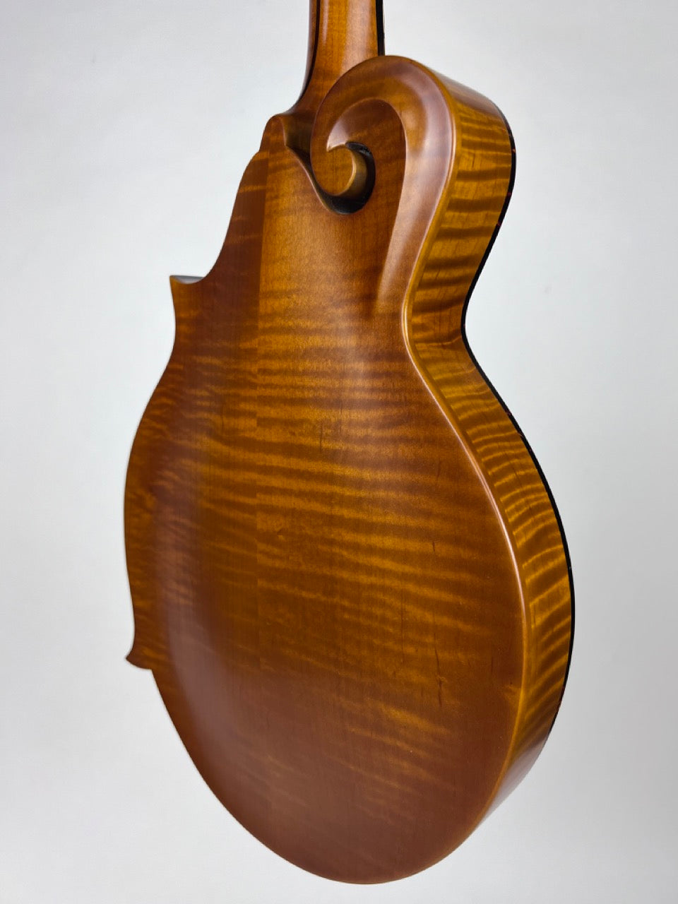 Northfield F5S Amber Tortoise Mandolin