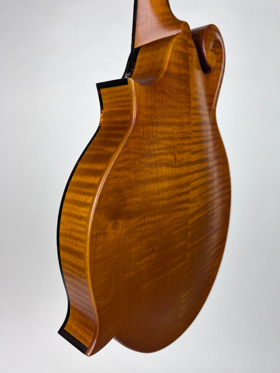Northfield F5S Amber Tortoise Mandolin