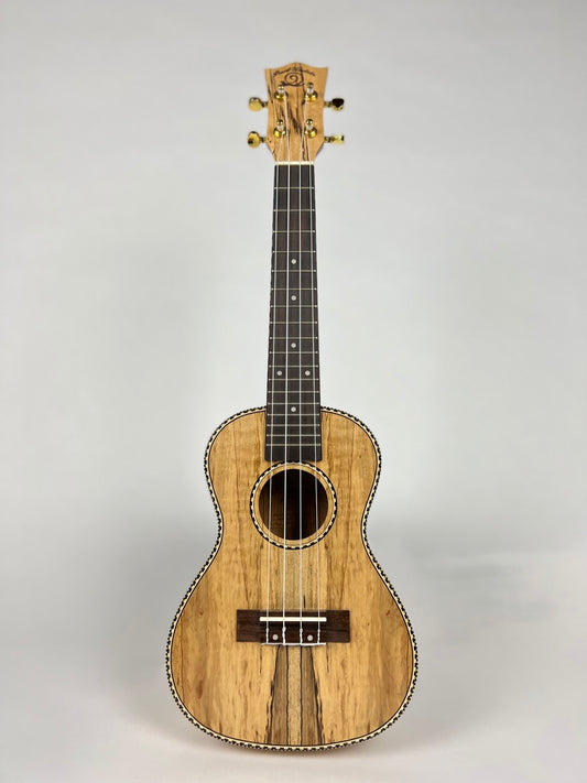 Snail Concert Spalted Maple Ukulele