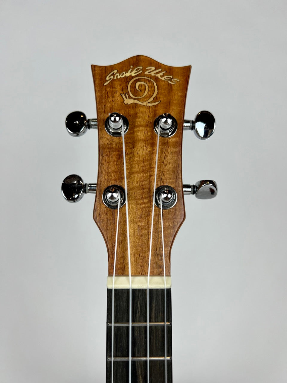 Snail Concert Koa