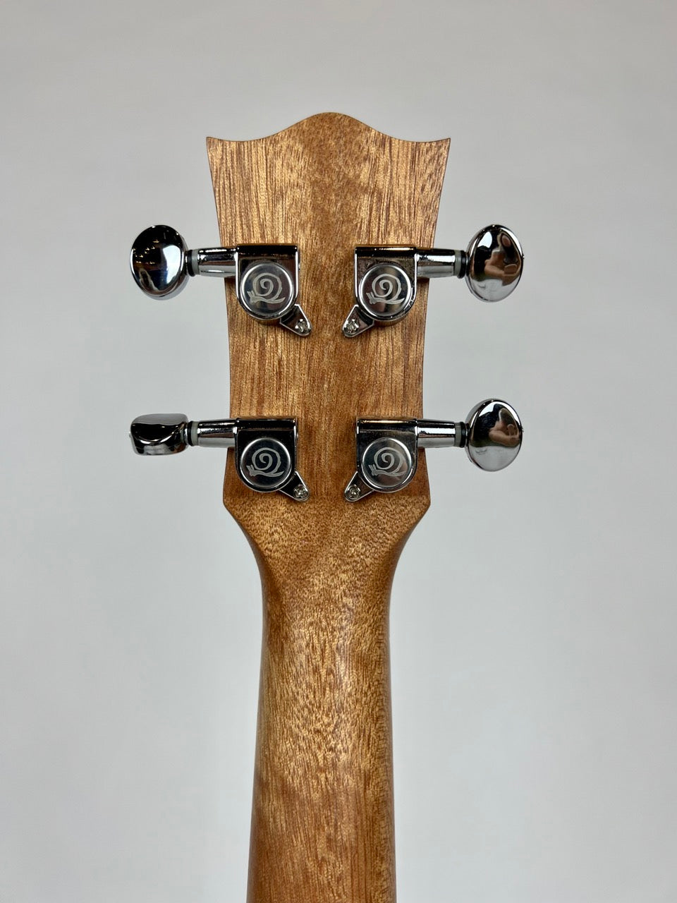 Snail Concert Koa