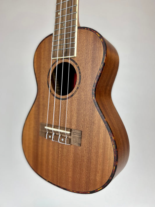 Amahi UK220C Classic Mahogany Concert Ukulele