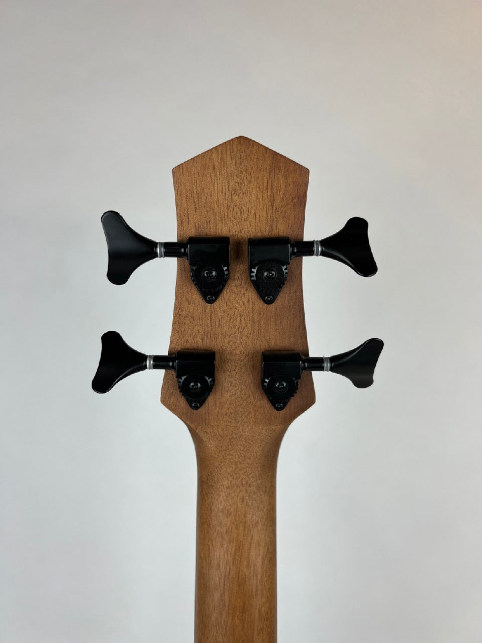 Gold Tone Fretless Microbass 25"