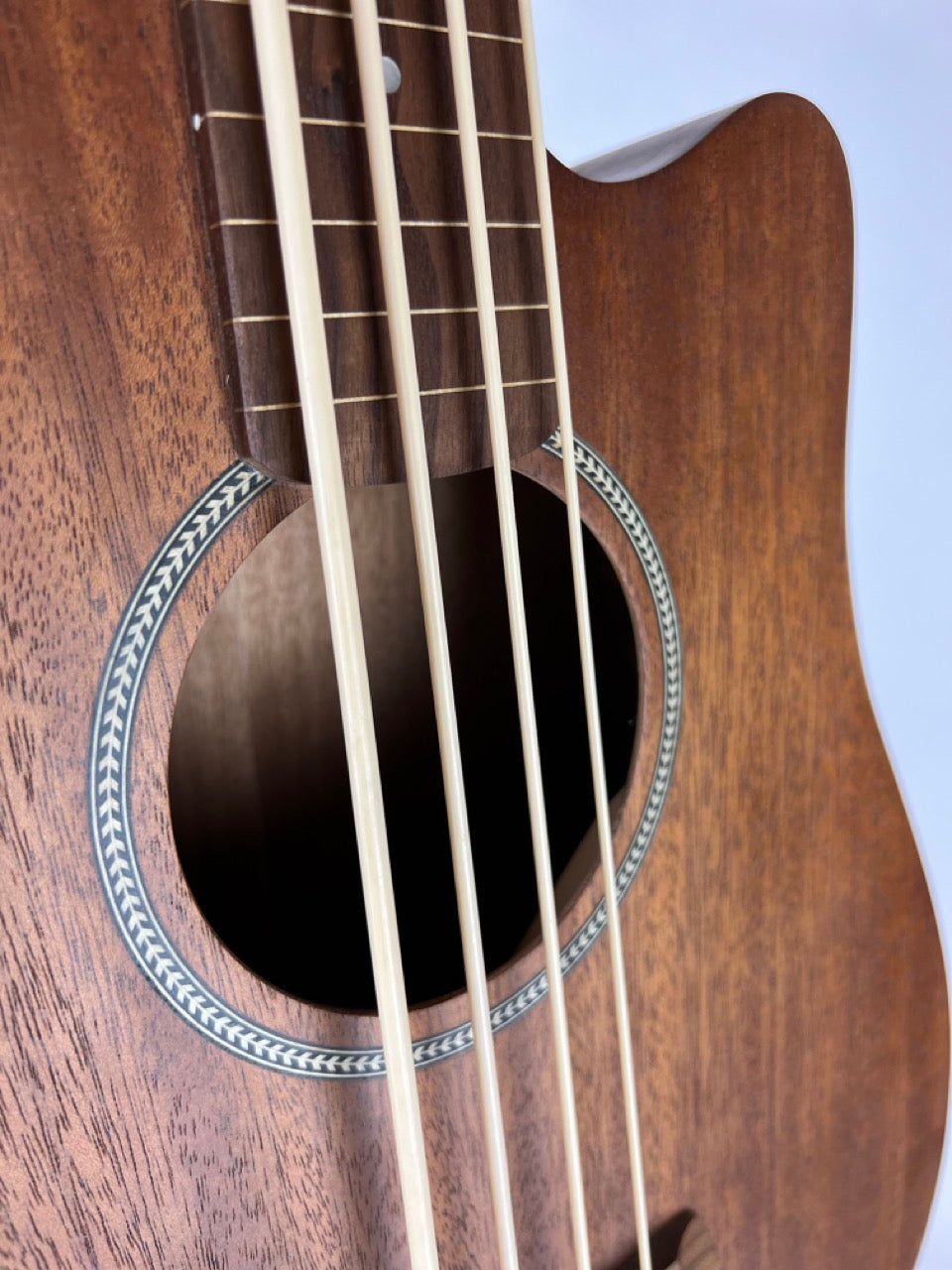 Gold Tone Fretless Microbass 25"