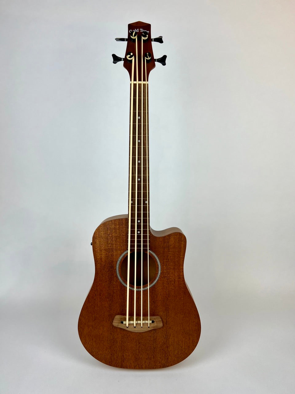 Gold Tone Fretless MicroBass 23"
