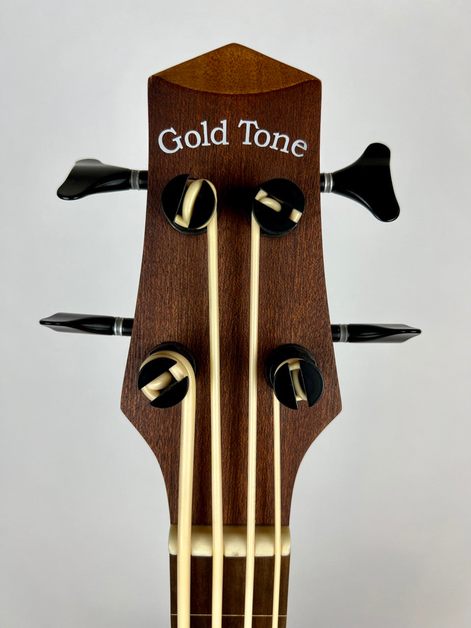 Gold Tone Fretless MicroBass 23"