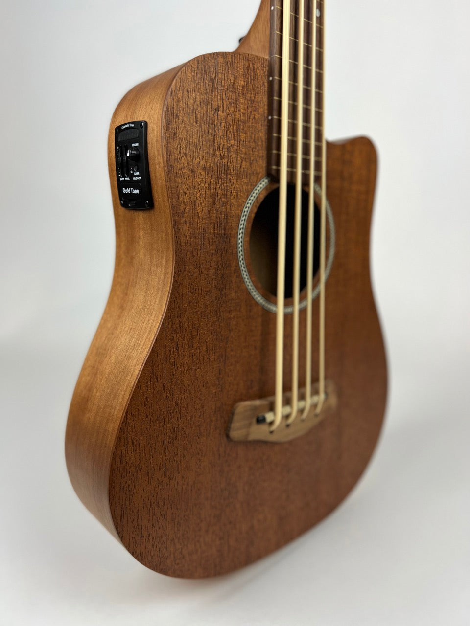 Gold Tone Fretless MicroBass 23"