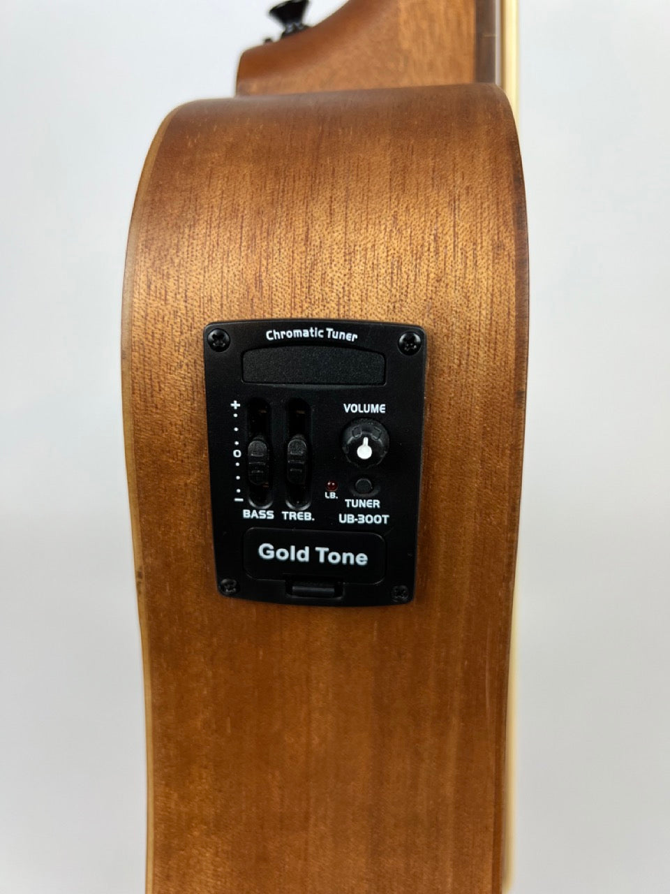 Gold Tone Fretless MicroBass 23"