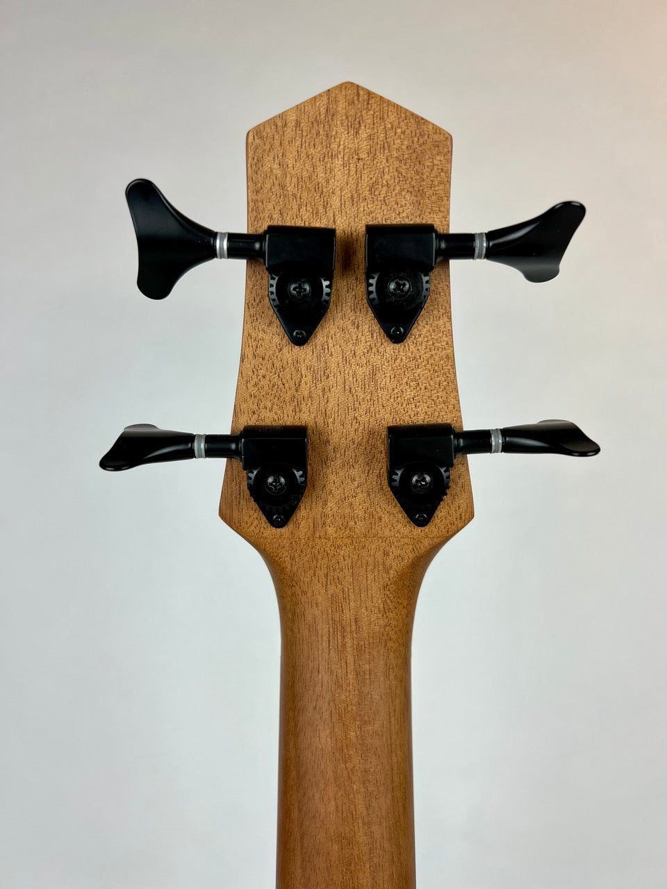 Gold Tone Fretless MicroBass 23"