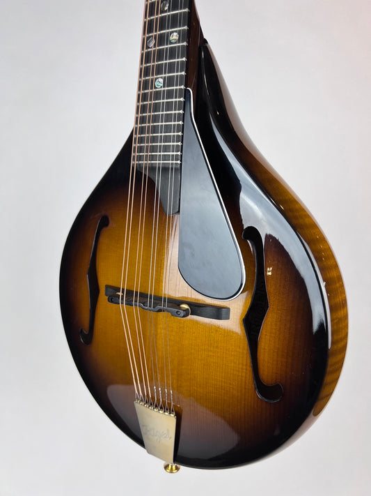 2005 Rigel A Plus Deluxe