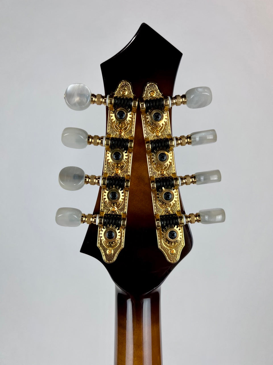 2005 Rigel A Plus Deluxe