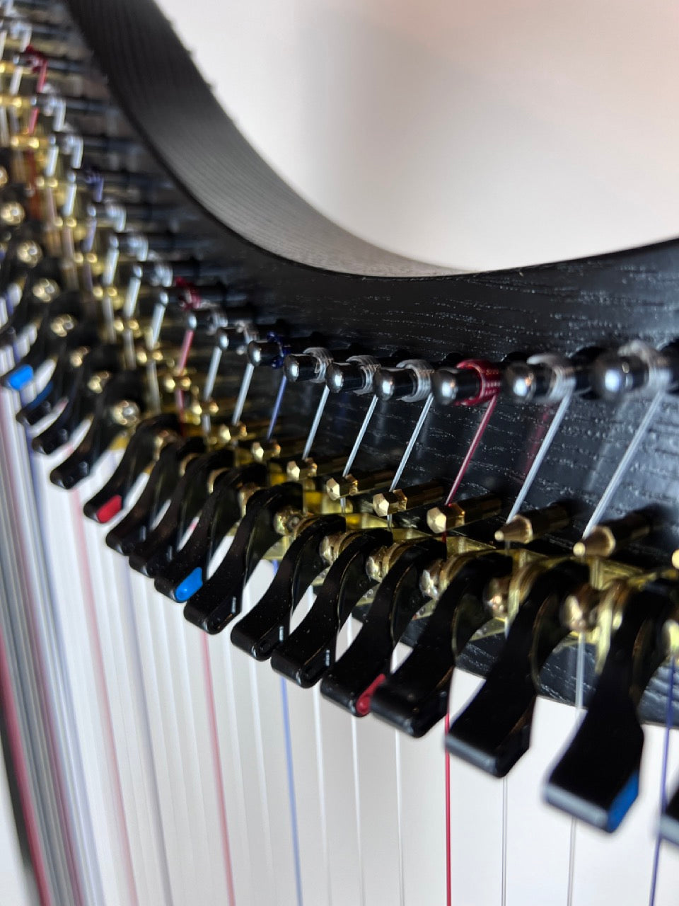Dusty Strings Ravenna 34 Harp