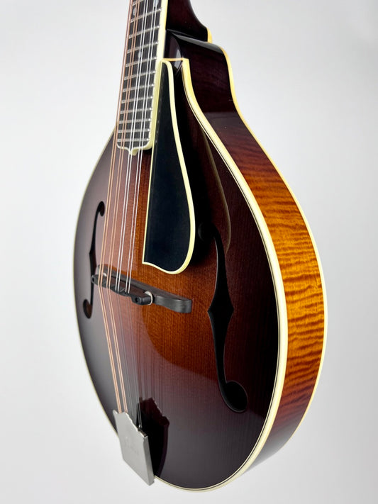 Pava Pro A5 Mandolin